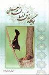 رزق
